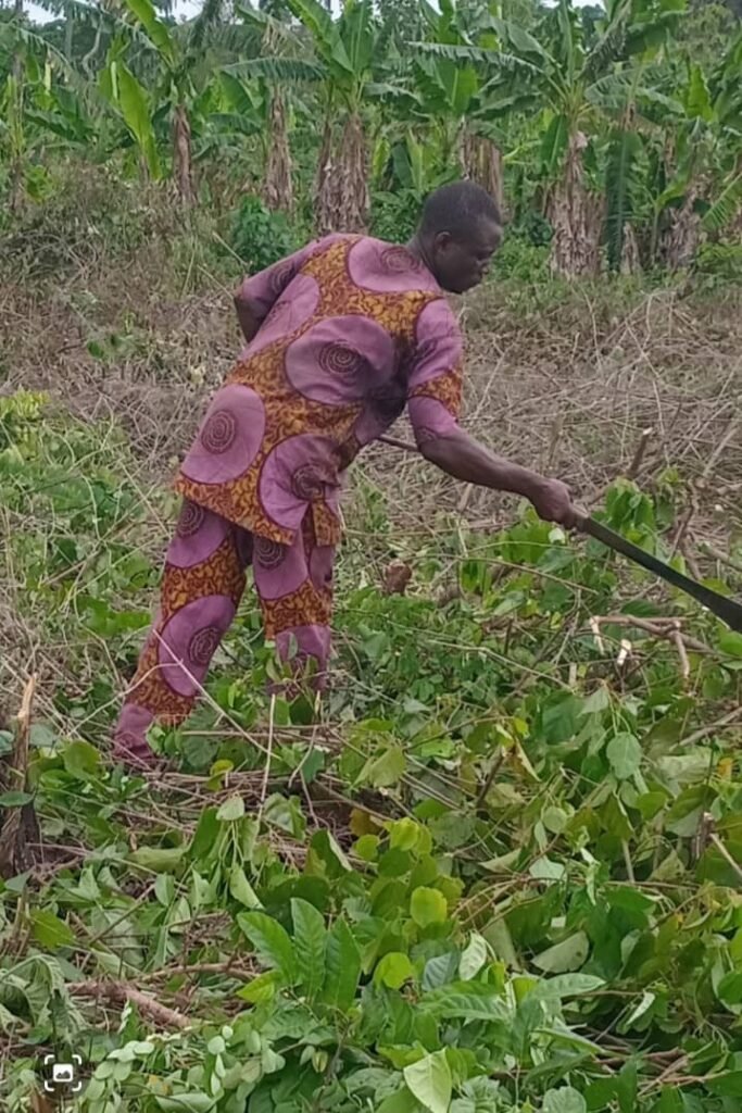 Farmland worker