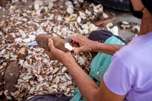 pexels-photo-18149815-18149815-2 A woman expertly peels cassava root, surrounded by cassava peels, for culinary preparation.